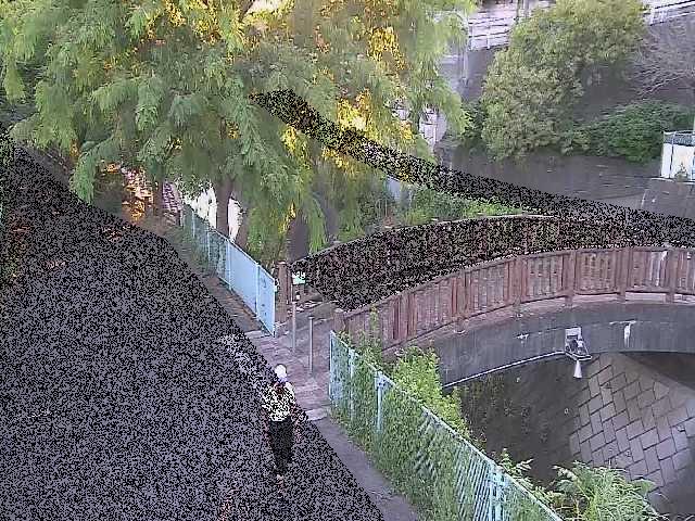 平瀬川 嶋田人道橋付近のカメラ画像