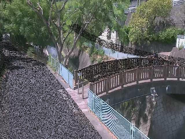 平瀬川 嶋田人道橋付近のカメラ画像