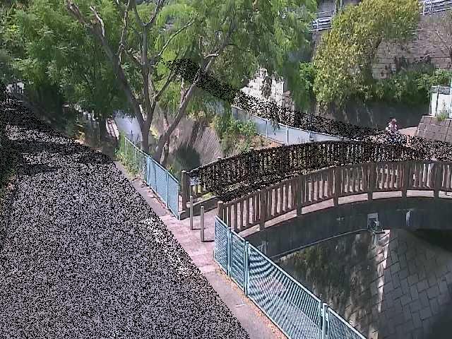 嶋田人道橋付近のカメラ画像