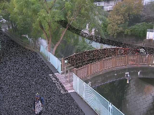 平瀬川 嶋田人道橋付近のカメラ画像