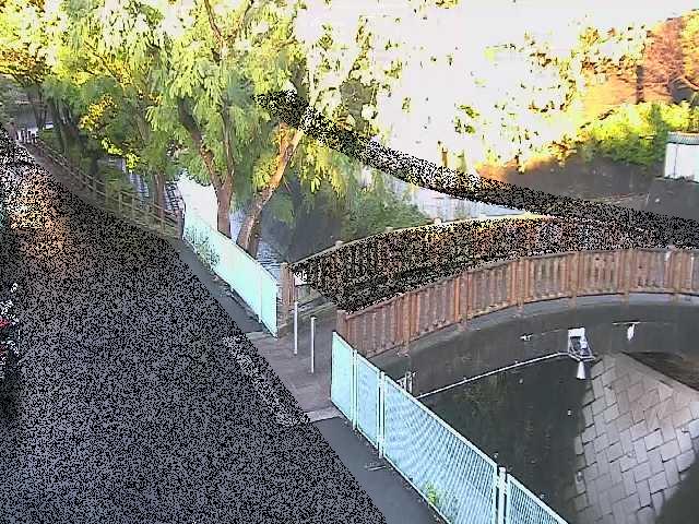 嶋田人道橋付近のカメラ画像