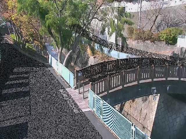 平瀬川 嶋田人道橋付近のカメラ画像