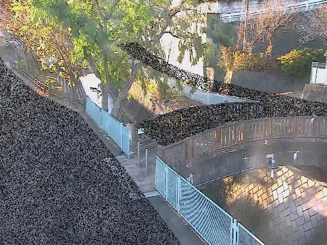 嶋田人道橋付近のカメラ画像