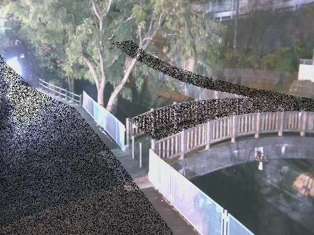嶋田人道橋付近のカメラ画像