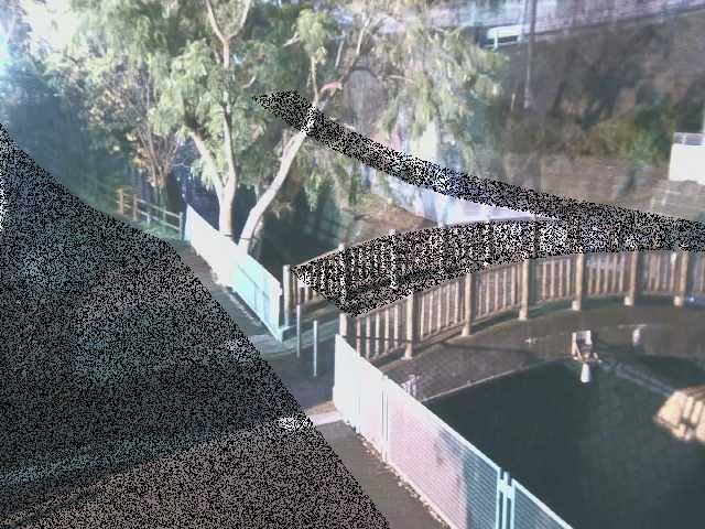 嶋田人道橋付近のカメラ画像