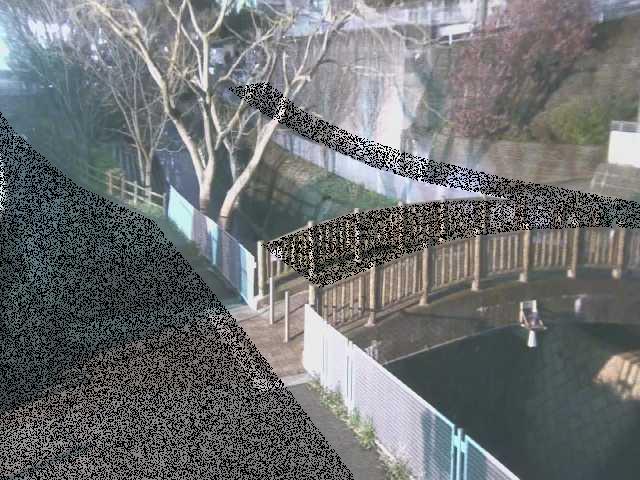 嶋田人道橋付近のカメラ画像