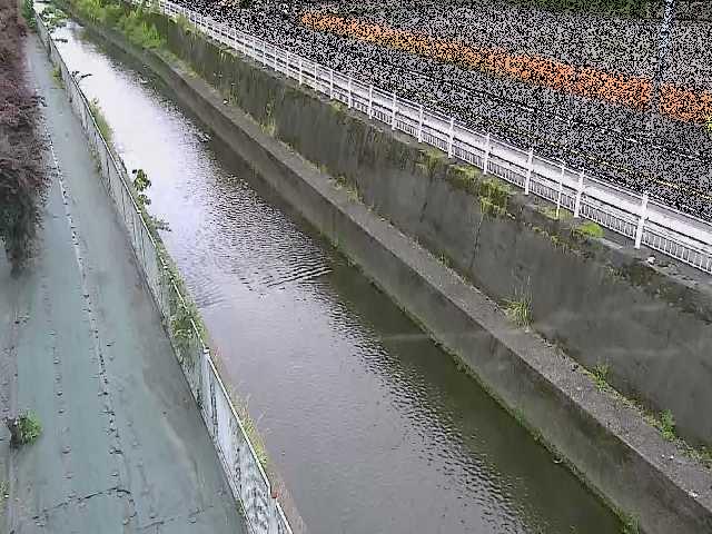 長尾橋付近のカメラ画像