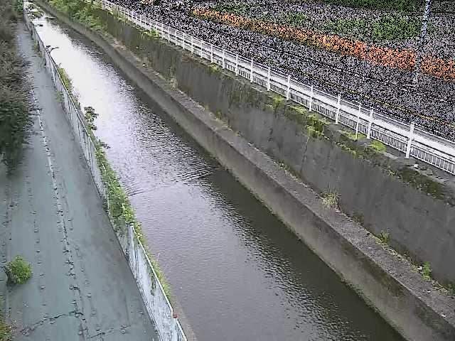 長尾橋付近のカメラ画像