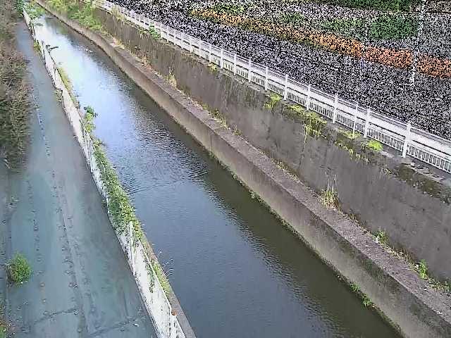二ヶ領本川 長尾橋付近のカメラ画像