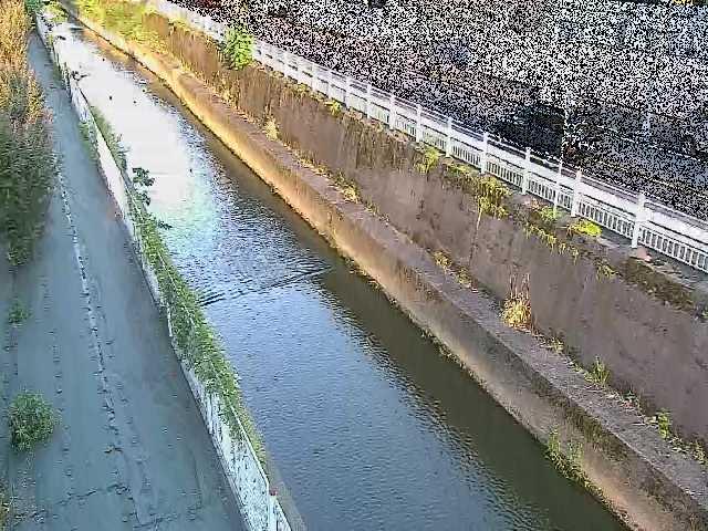 二ヶ領本川 長尾橋付近のカメラ画像