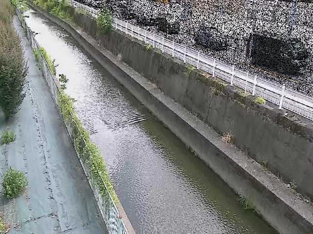 二ヶ領本川 長尾橋付近のカメラ画像