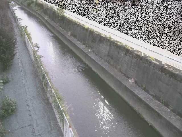 長尾橋付近のカメラ画像