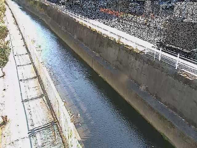 二ヶ領本川 長尾橋付近のカメラ画像