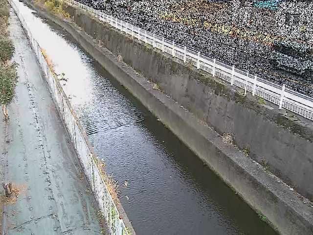 長尾橋付近のカメラ画像