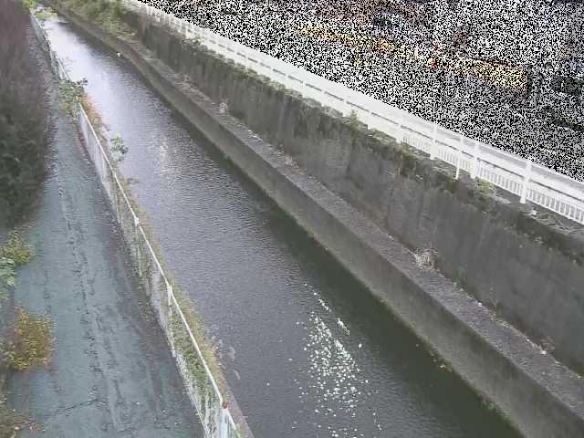 長尾橋付近のカメラ画像