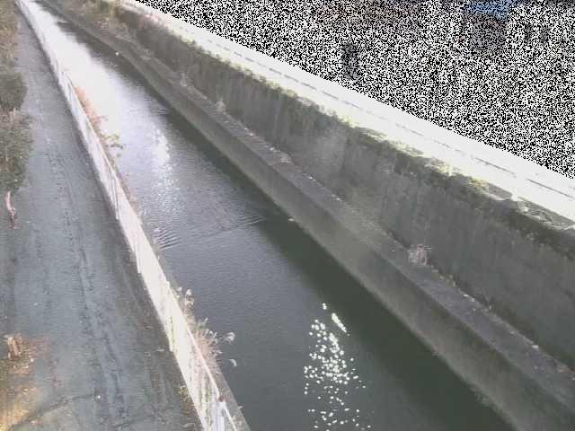 二ヶ領本川 長尾橋付近のカメラ画像