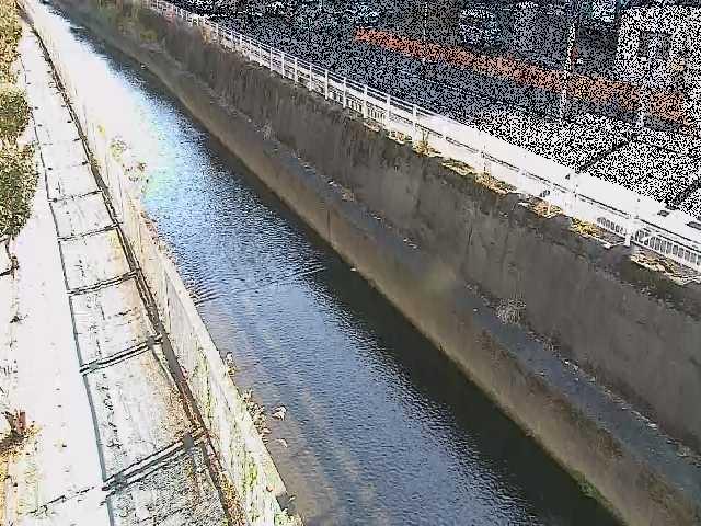 長尾橋付近のカメラ画像