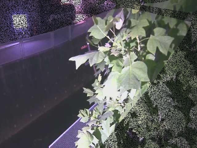 栄橋付近のカメラ画像
