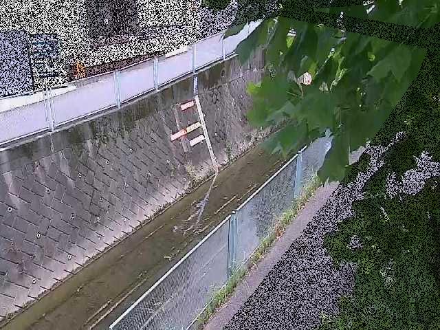 栄橋付近のカメラ画像