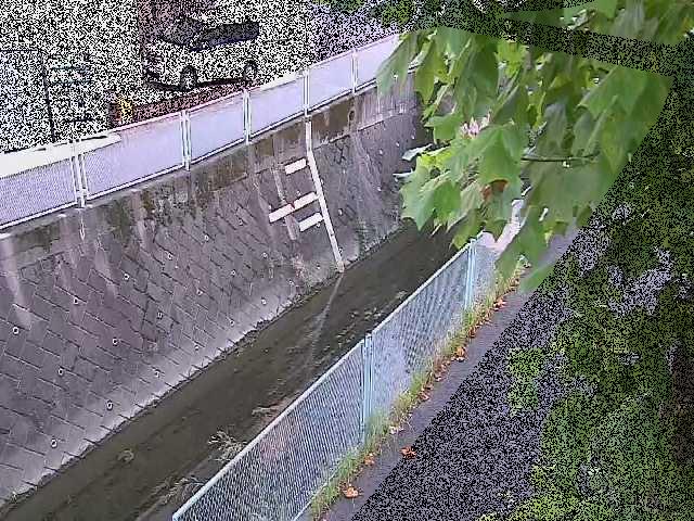 五反田川 栄橋付近のカメラ画像