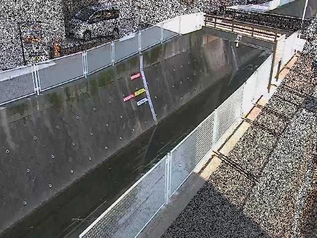 五反田川 栄橋付近のカメラ画像