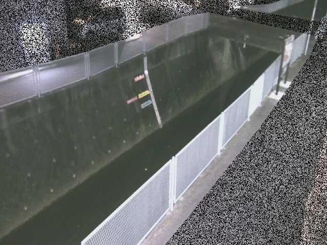五反田川 栄橋付近のカメラ画像
