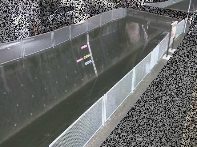 五反田川 栄橋付近のカメラ画像