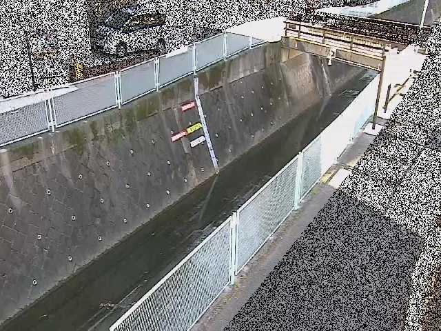 栄橋付近のカメラ画像