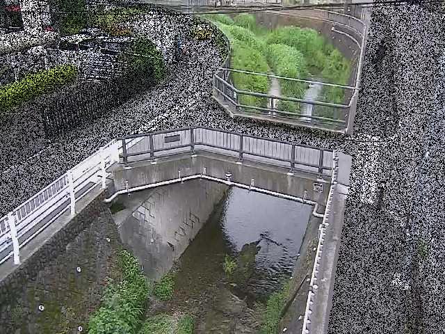 あゆみ橋付近のカメラ画像
