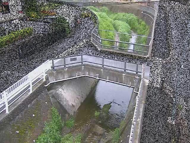 あゆみ橋付近のカメラ画像