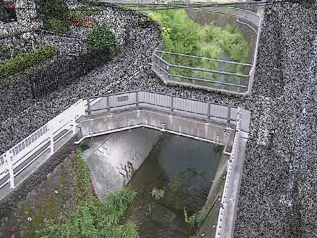あゆみ橋付近のカメラ画像