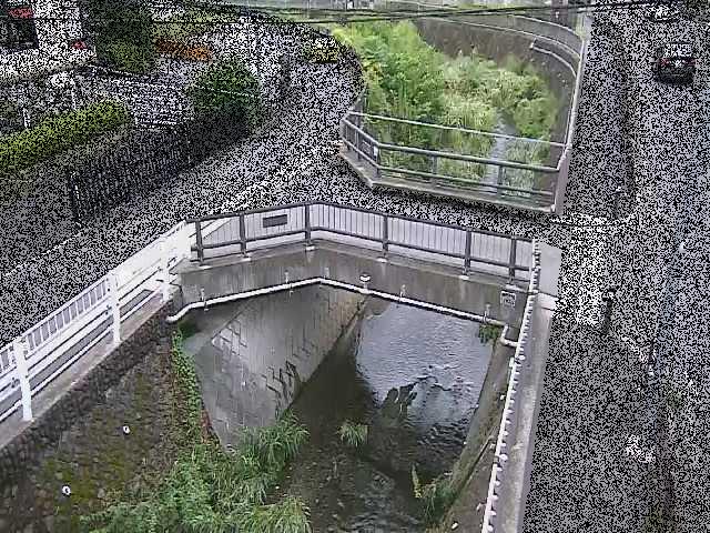 あゆみ橋付近のカメラ画像