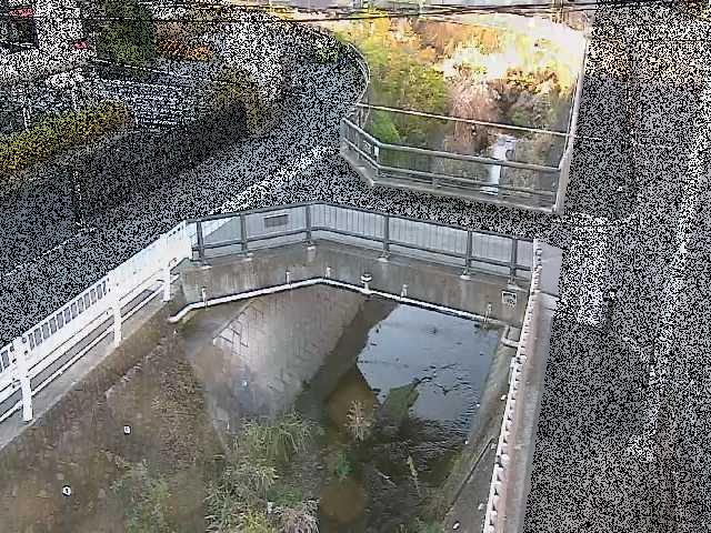 あゆみ橋付近のカメラ画像
