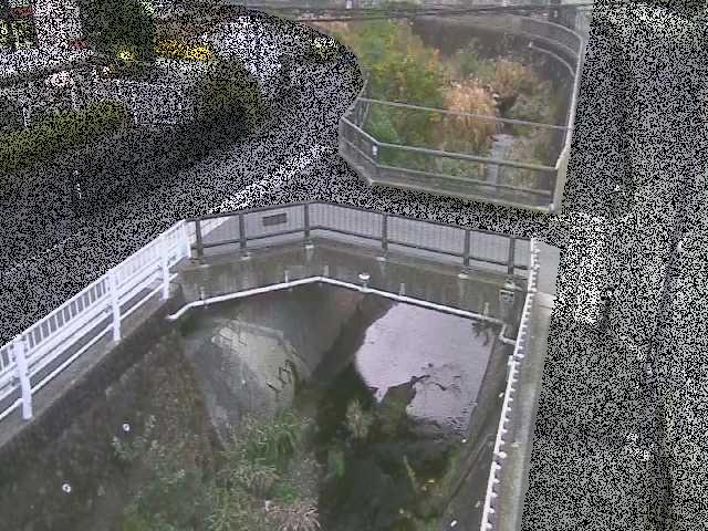 あゆみ橋付近のカメラ画像