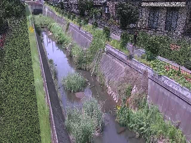 矢崎橋付近のカメラ画像
