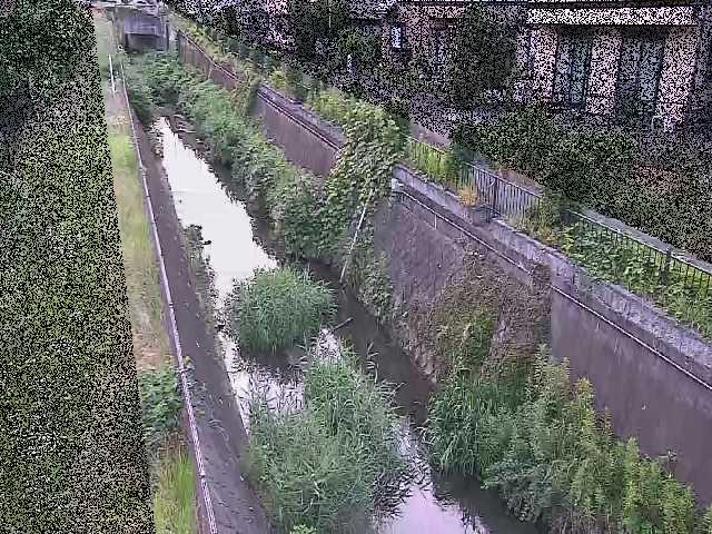 真光寺川 矢崎橋付近のカメラ画像