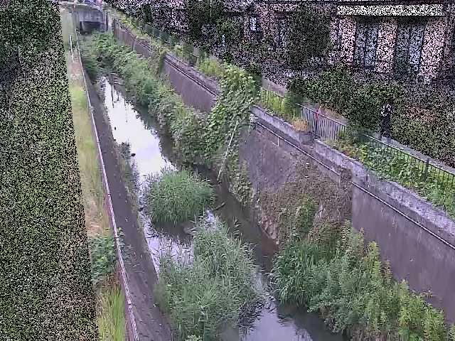 矢崎橋付近のカメラ画像