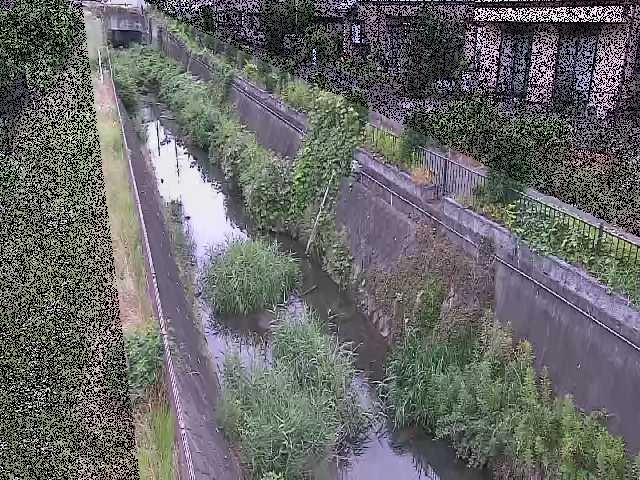矢崎橋付近のカメラ画像