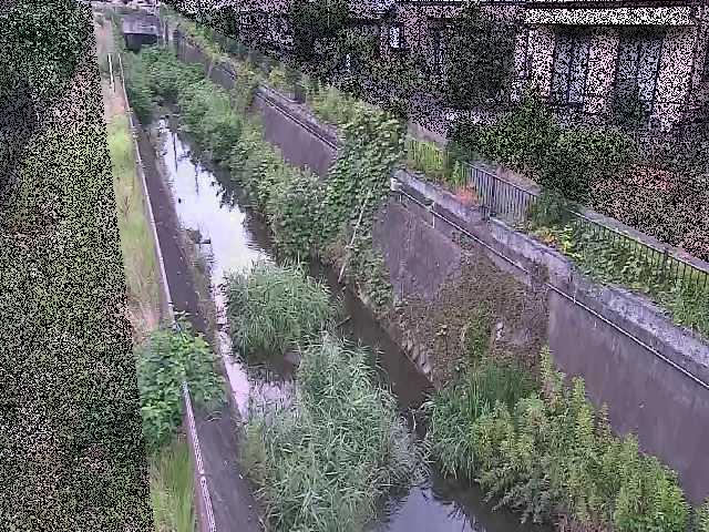 真光寺川 矢崎橋付近のカメラ画像