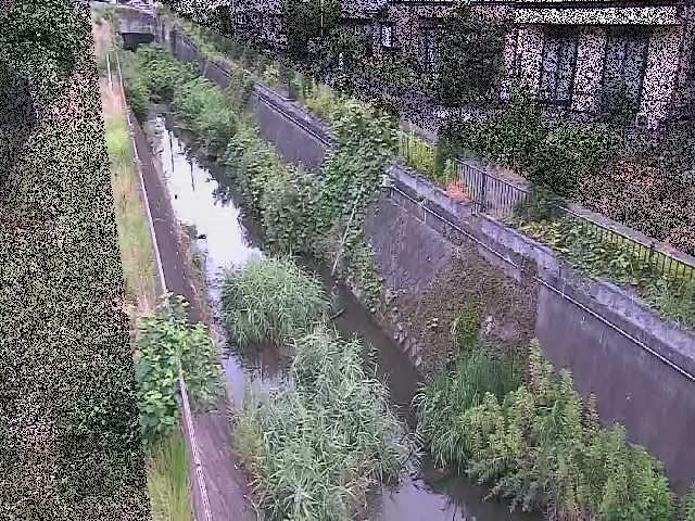 矢崎橋付近のカメラ画像