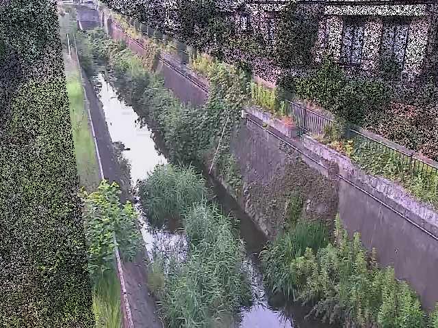 真光寺川 矢崎橋付近のカメラ画像