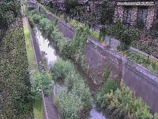 矢崎橋付近のカメラ画像
