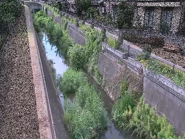 矢崎橋付近のカメラ画像