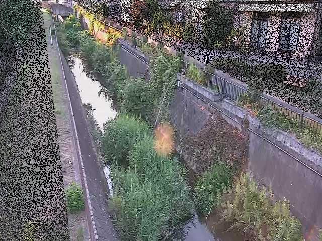 真光寺川 矢崎橋付近のカメラ画像