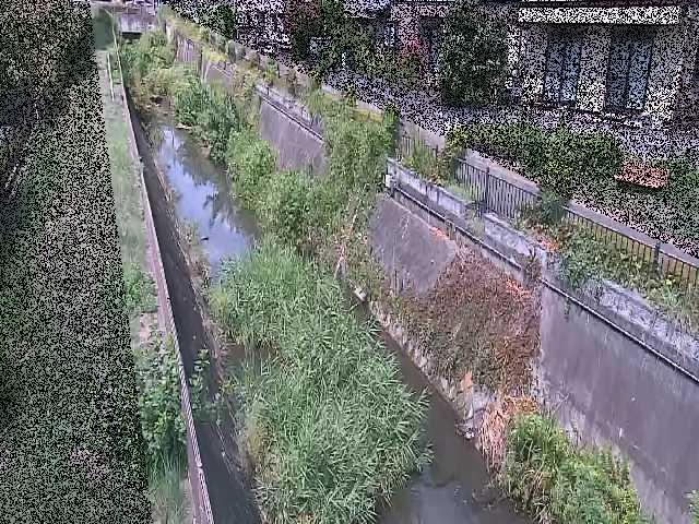 真光寺川 矢崎橋付近のカメラ画像