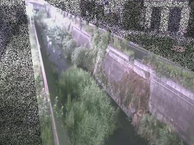 真光寺川 矢崎橋付近のカメラ画像