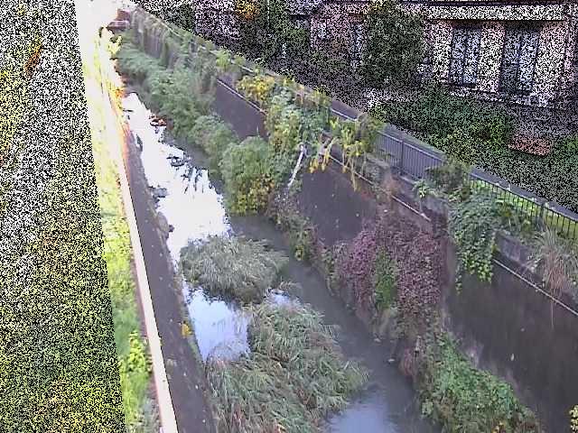 矢崎橋付近のカメラ画像