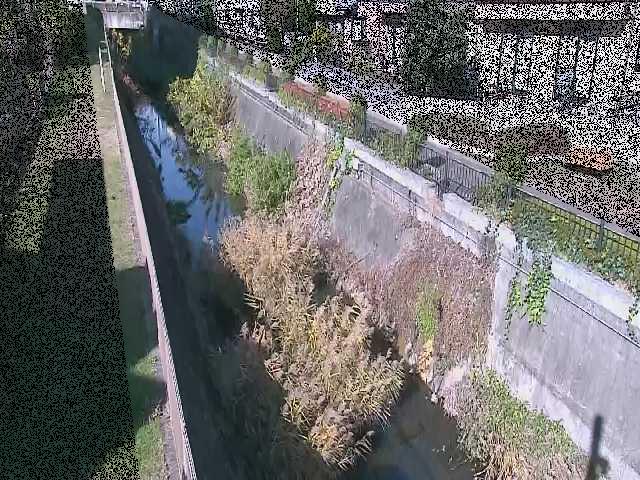真光寺川 矢崎橋付近のカメラ画像