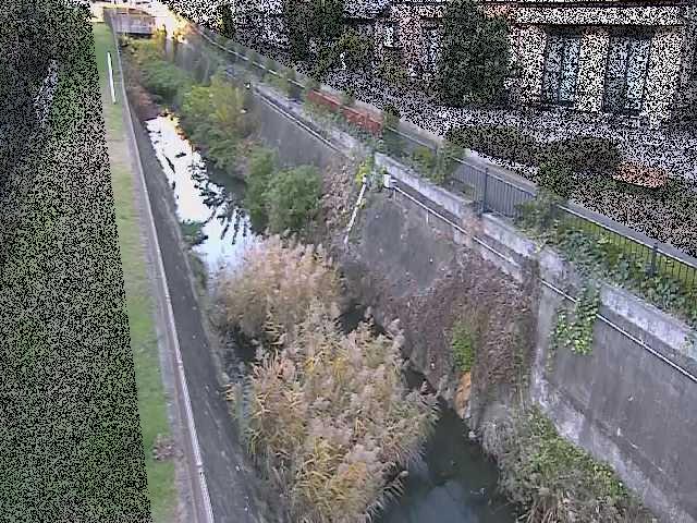 矢崎橋付近のカメラ画像