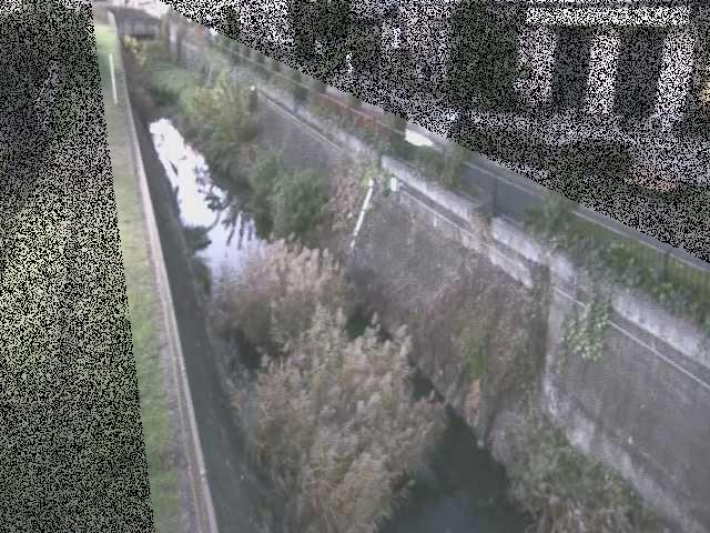 真光寺川 矢崎橋付近のカメラ画像